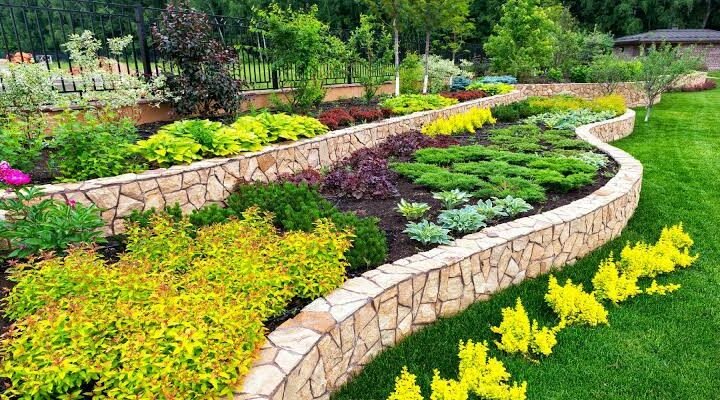 Low-Maintenance Garden Ideas for Busy Homeowners