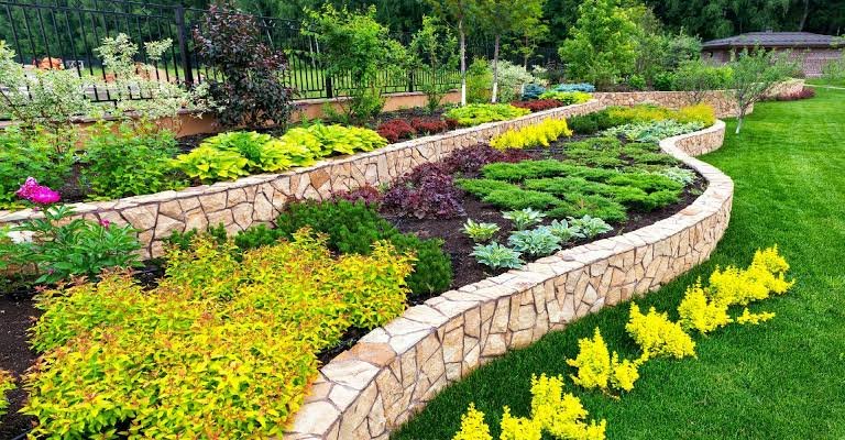 Low-Maintenance Garden Ideas for Busy Homeowners